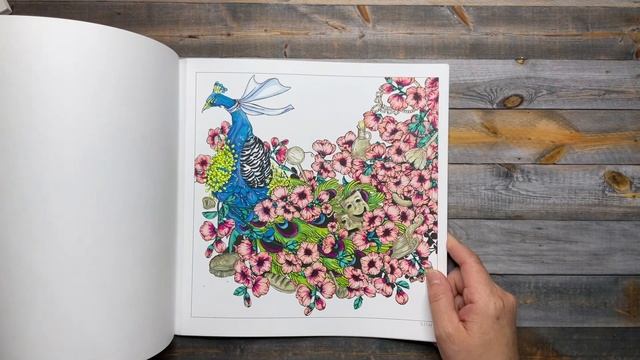 Coloring Book Collection and Finished Pages Pt. 3 смотреть онлайн