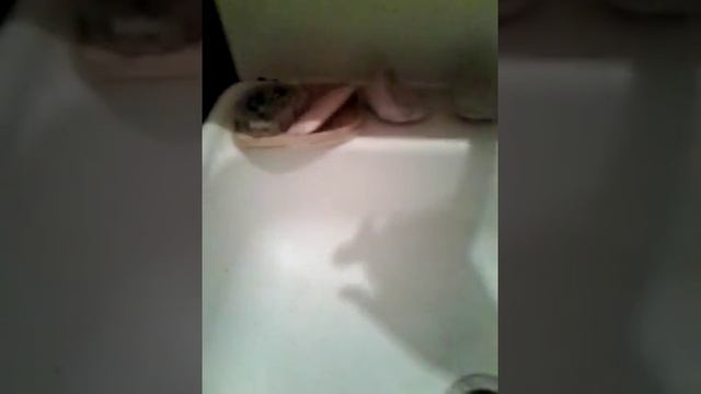 Папье Маше ( ну или что- то похожие) в домашних условиях смотреть онлайн