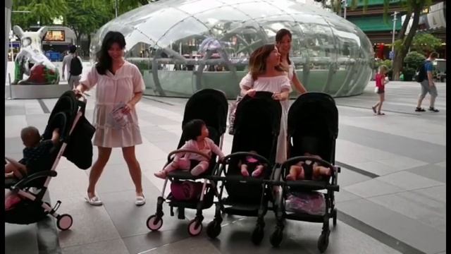 NEW LAUNCH!! Bumprider Connect Stroller Singapore