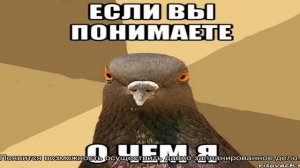 «Сонник Сено приснилось, к чему снится во сне Сено»