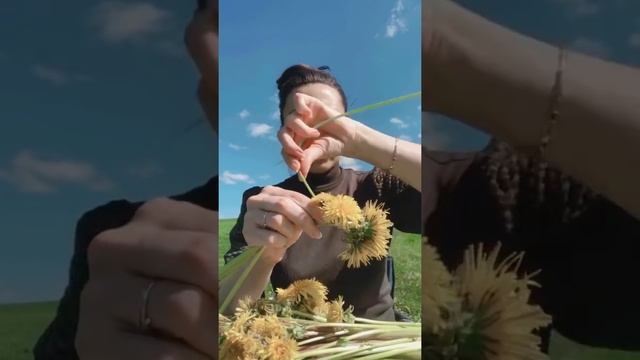 Как вам поможет венок из одуванчиков и пригорки? смотреть онлайн