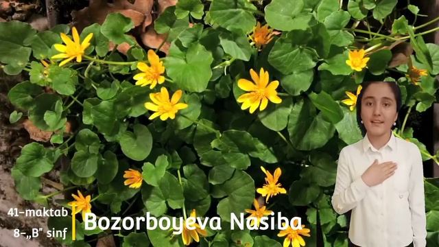 Zulfiya Sheʼrlari