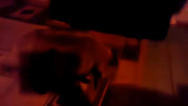 Тануки - сложный зверь для домашнего содержания. смотреть онлайн