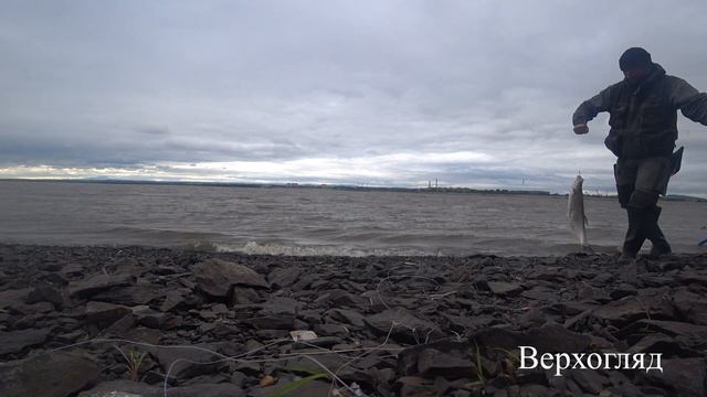Ловля верхогляда на резинку // рыбалка на амуре. смотреть онлайн