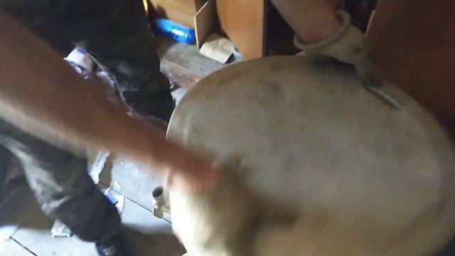 СТАРЬЁВЩИКИ :Гараж торгашей . Выкупили всё содержимое . смотреть онлайн