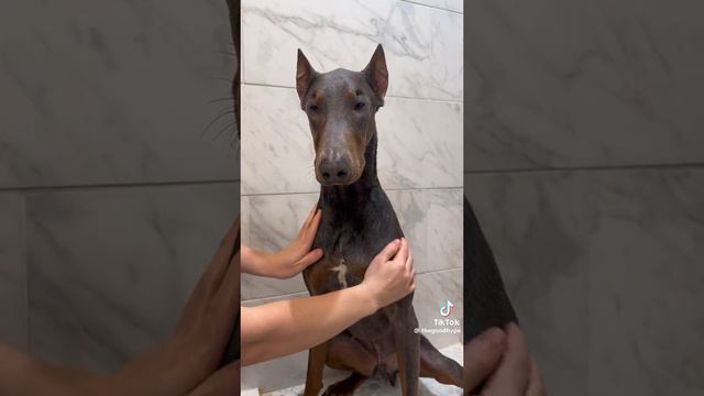 v12044gd0000cnv4ccvog65tdhgrpgdg