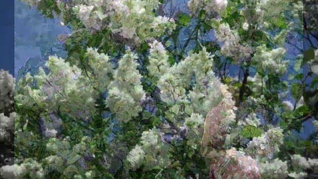 ВИА Пламя Сирень- черемуха смотреть онлайн