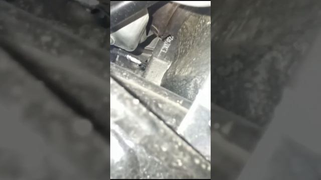 Где находится номер двигателя Е30Z TANK 500