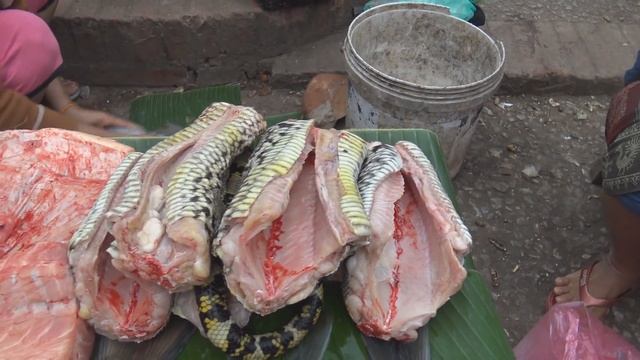 ዦ 66 ዣ Что едят лаосцы. Ужасы лаосского рынка смотреть онлайн