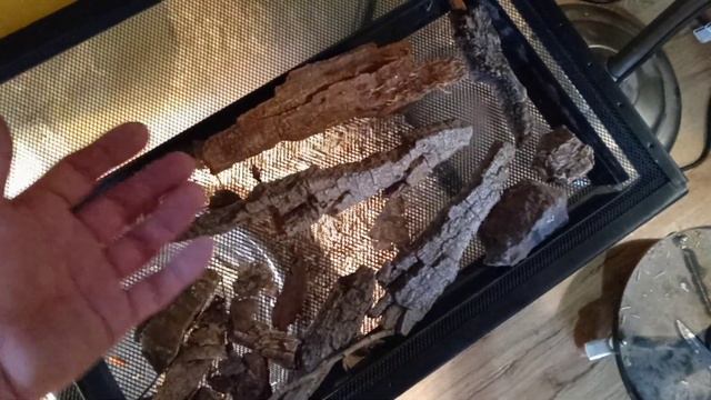 How to setup a proper centipede breeding enclosure for success! смотреть онлайн
