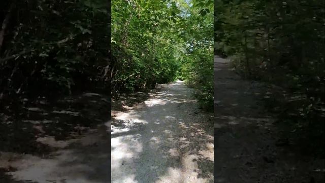 ГОНЧАР СЕРГЕЙ. ОМСК. ГОРОД В КОТОРОМ ХОЧЕТСЯ ЖИТЬ? смотреть онлайн