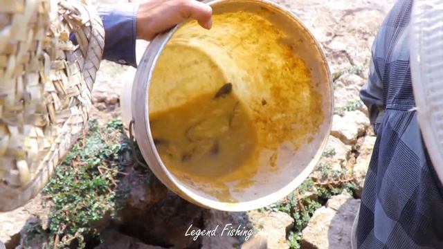 Best Catching Catfish Small Fish And Giant Fish In Underground Big Dry Lake On Dry Season