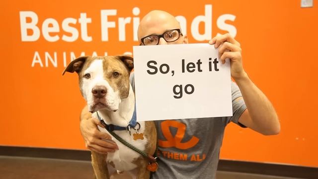 Moby - Almost Home (Best Friends Animal Society Lyric Video) (with Damien Jurado) смотреть онлайн