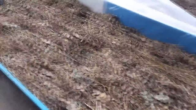 Как правильно вырастить много огурцов Грядки для огурцов смотреть онлайн