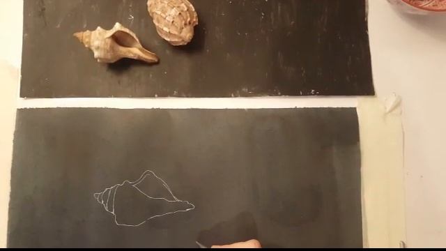 Занятие № 19. "Ракушки. Графический прием". Студия "Палитра" смотреть онлайн