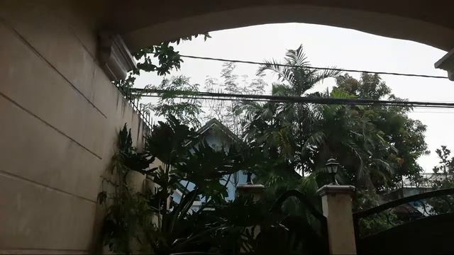 Rainy Windy with Thunderstorm Afternoon LS смотреть онлайн