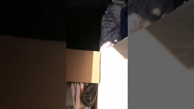 Асики Antminer L3+. смотреть онлайн