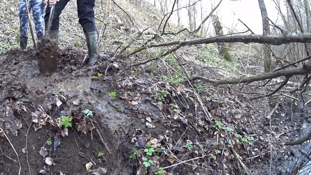 Спускаем ЛЕСНОЙ ПРУД !!! Копаем родник. НАШ новый ДРУГ