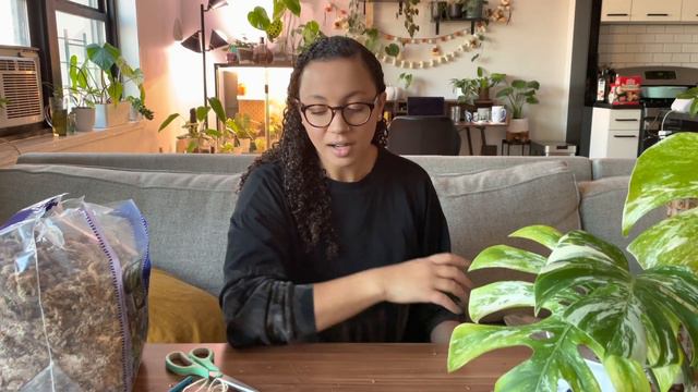 Staking My Monstera Albo & Taking Care of Spidermites 🕷 | Plant Chores! смотреть онлайн