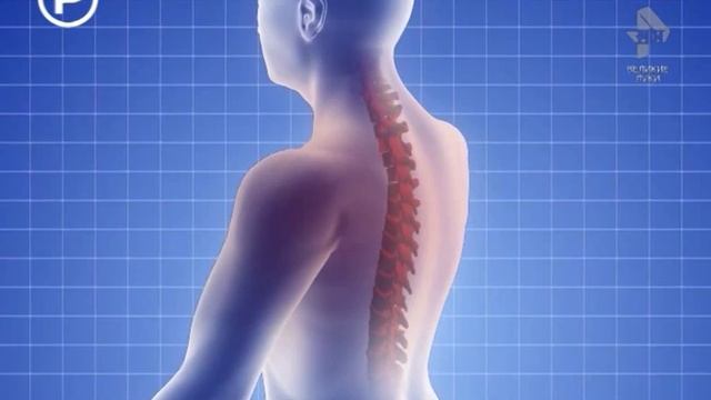 Выставка-продажа медицинских приборов производства ЕПЗ смотреть онлайн