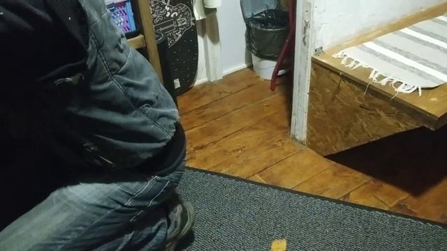 Две скважины 2.5 -3 т. Тайские гаражи . Бурим обычным дренажником чистой водой . смотреть онлайн