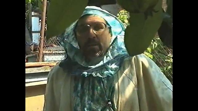 Интересные факты о пчеловодстве! Часть 2 смотреть онлайн