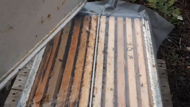 Разговор на пасеке! Зимовка задом наперед! Синицы и дятлы! смотреть онлайн