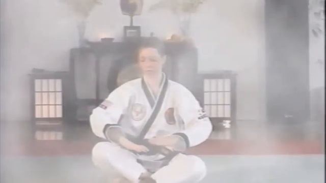 Hansu Hapkido Chun Ji Training смотреть онлайн