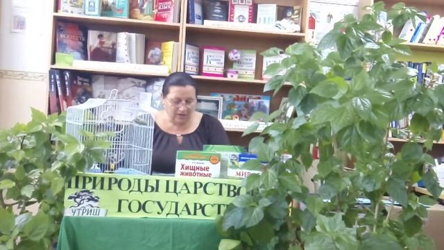 Рубрика: «Природы царство-государство». «Лесной владыка». смотреть онлайн