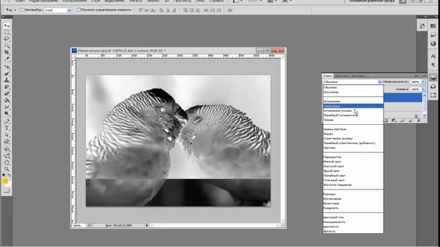 Туториал-Adobe Photoshop-1-Как из фотографии сделать карандашный рисунок. смотреть онлайн
