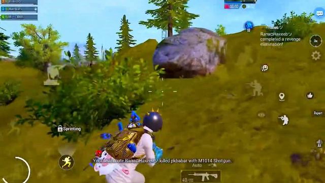 Raving king 👑 Best Raving aver #proplayer #pubgmobile #raving смотреть онлайн