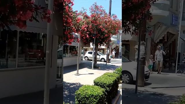 Греция, прогулка по острову КОС. смотреть онлайн