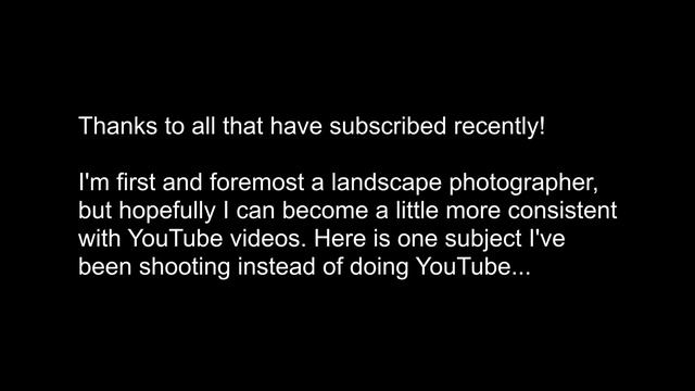 Fuji XT4 Quick Tip: How to Format SD Card SHORTCUT Without Using Menu смотреть онлайн