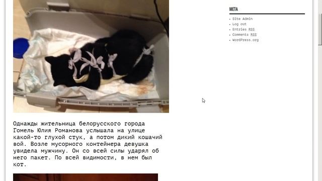 Пример парсинга lemurov.net wpgrabber смотреть онлайн