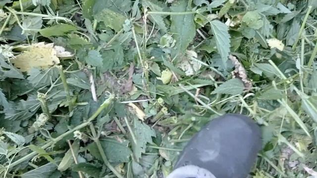 Триммер ЗУБР 1700 Вт! Адская мясорубка для суровых сорняков. КСВ-42-1700