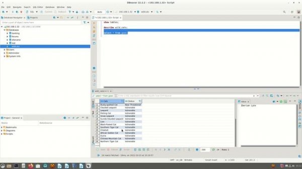 SQL Client DBeaver Installation
