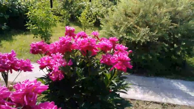 ПОЧЕМУ СТАРШАЯ ДОЧЬ НЕ ПРИЕЗЖАЕТ