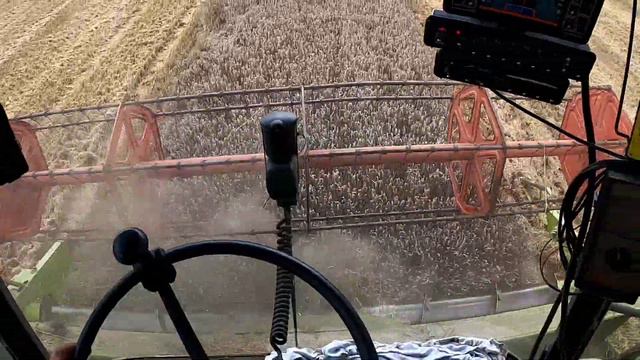 moje zdanie na temat pszenicy Rgt Reform# Claas Mega 204# Arag Brawo 400s # GPS 😎 смотреть онлайн