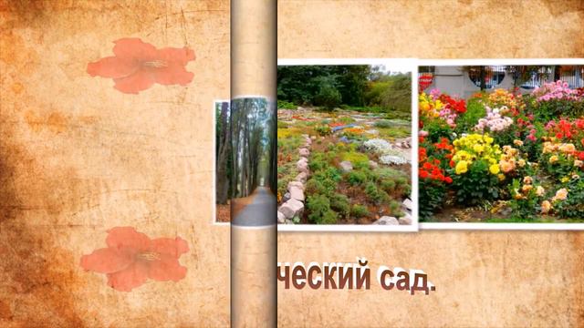Красота ботанического сада. г.МИНСК. Из серии "Путешествия...." смотреть онлайн