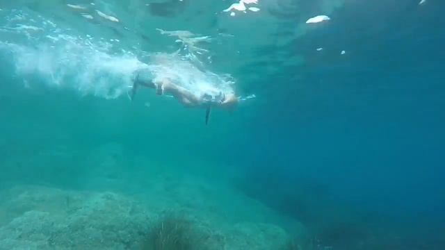 SEABIKE смотреть онлайн