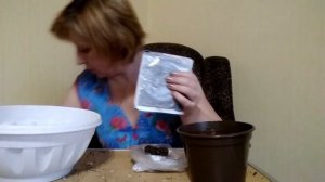 Сажаем луковицу бегонии.