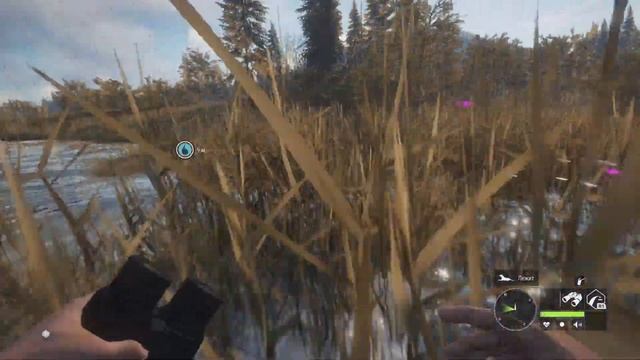 Лось с огромными рогами из лука смотреть онлайн