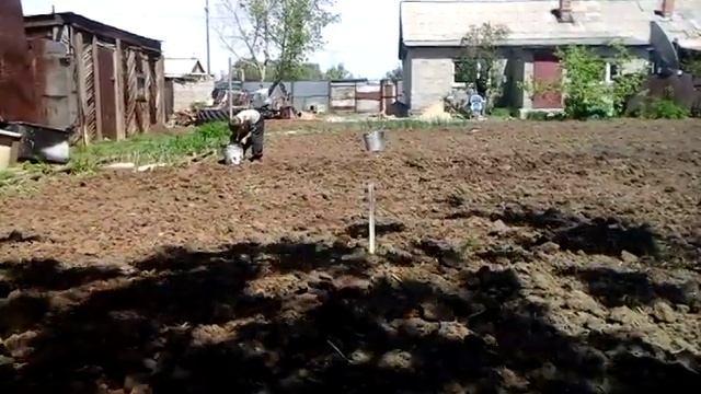 Как правильно сажать картошку смотреть онлайн