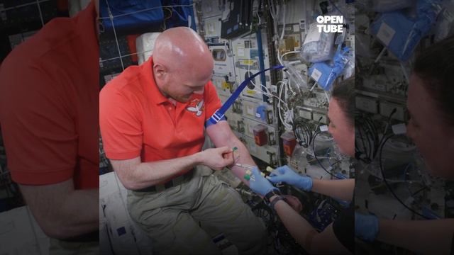 Появилось первое 8K-видео из космоса смотреть онлайн