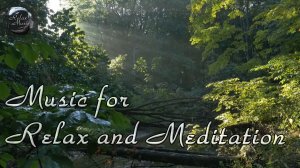 Звуки дождя и пение птиц для релакса и медитации