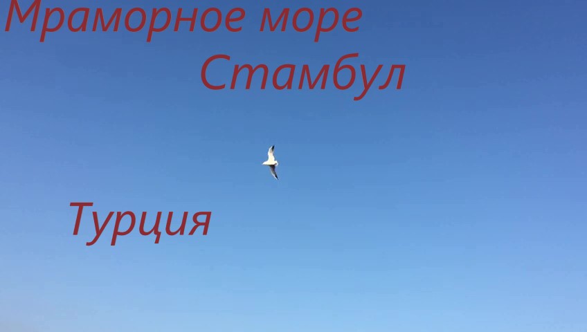 Мраморное море/ Стамбул/ Турция
