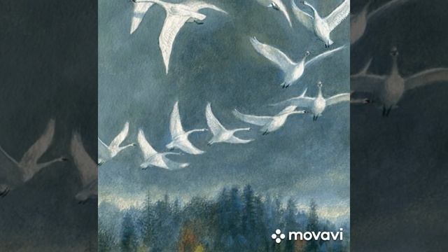 Лебеди. смотреть онлайн