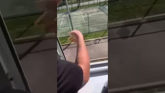 В Москве школьник выпрыгнул из окна ради "геройства". Теперь он может стать инвалидом. смотреть онлайн