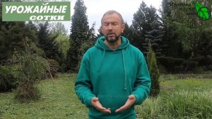 ПРОПОЛКА БЕЗ НАПРЯЖЕНИЯ! Надоели одуванчик и сныть? Избавьтесь от них НАВСЕГДА!