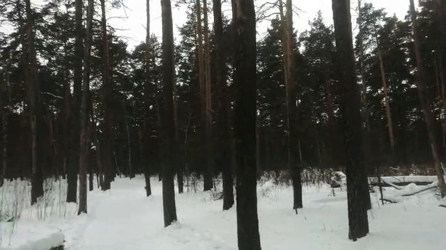 Идём дарить подарки. Дед Мороз и неправильный олень. смотреть онлайн